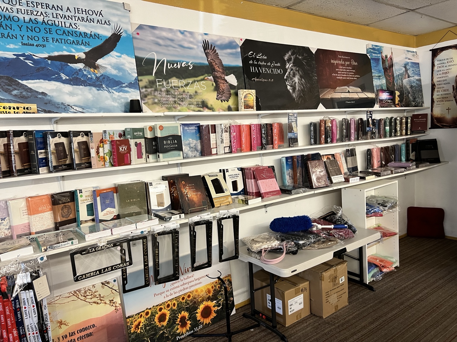 Biblias para toda la familia